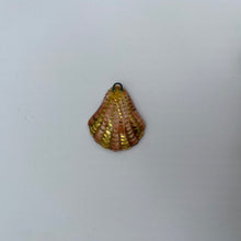 Load image into Gallery viewer, 17. shell talisman