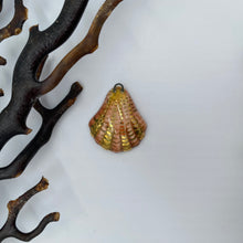 Load image into Gallery viewer, 17. shell talisman