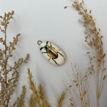 Load image into Gallery viewer, 147. beetle talisman