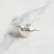 Load image into Gallery viewer, Cape white eye