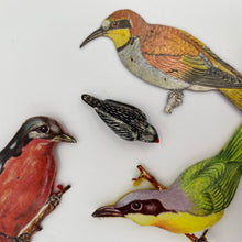 Load image into Gallery viewer, 46. bird talisman
