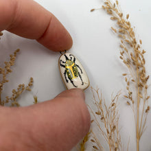 Load image into Gallery viewer, 146. beetle talisman
